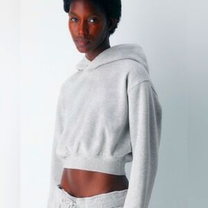 tna Aritzia Super Crop Heathered Grey Hoodie Size XS